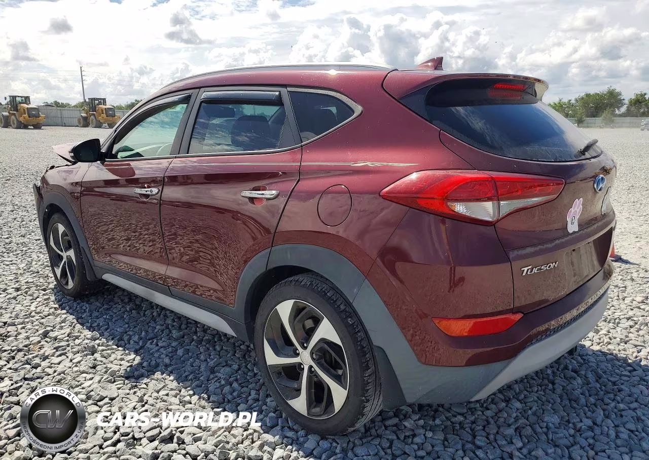 2017 Hyundai Tucson Limited VIN:KM8J33A25HU520725 - 2