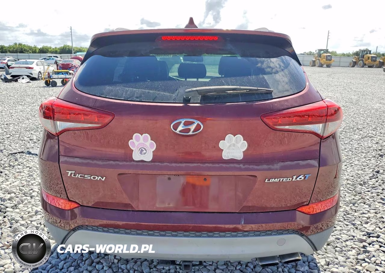 2017 Hyundai Tucson Limited VIN:KM8J33A25HU520725 - 6