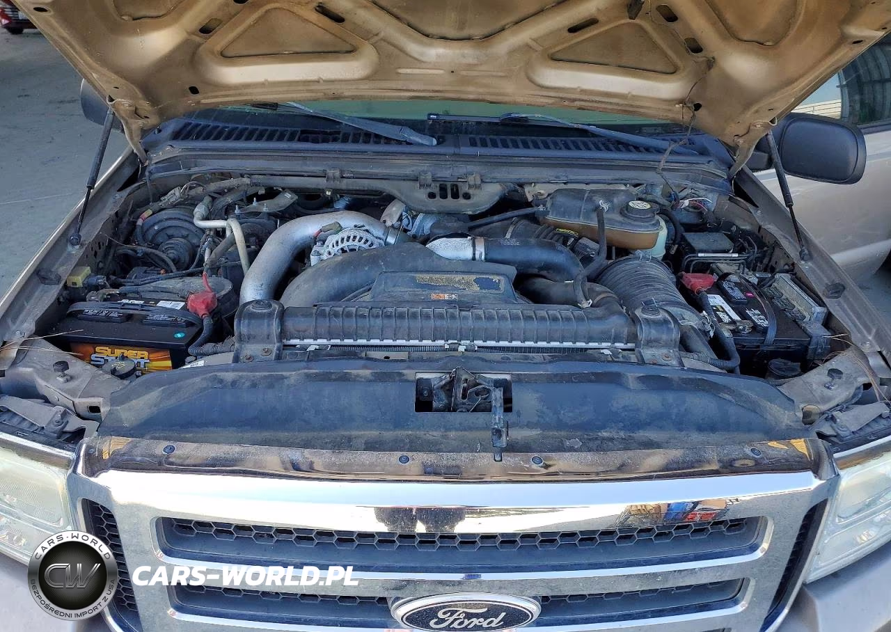 2005 Ford F250 Super Duty VIN:1FTSW21P65EA94717 - 11