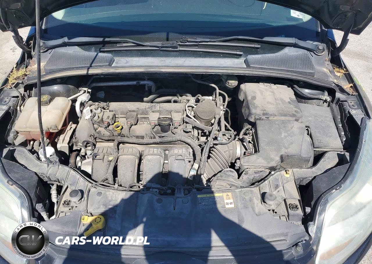 2014 Ford Focus Se VIN:1FADP3K20EL213412 - 11