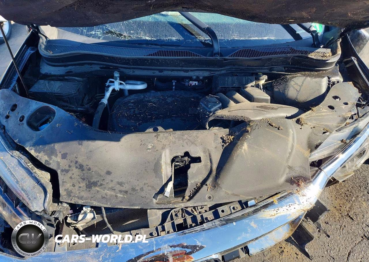 2020 Honda Pilot Exl VIN:5FNYF6H5XLB035056 - 12