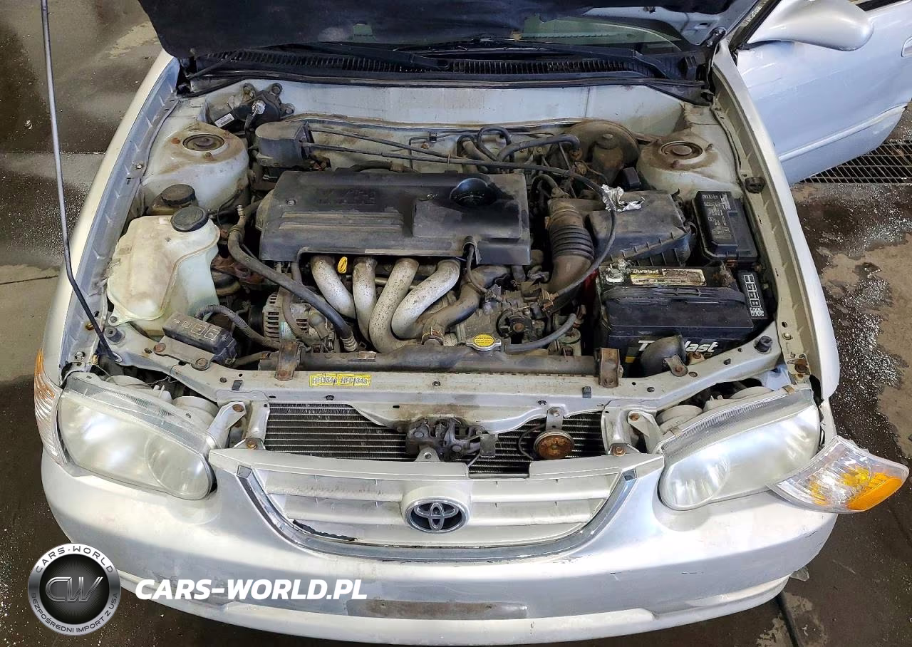 2001 Toyota Corolla Le VIN:1NXBR12E51Z442162 - 11