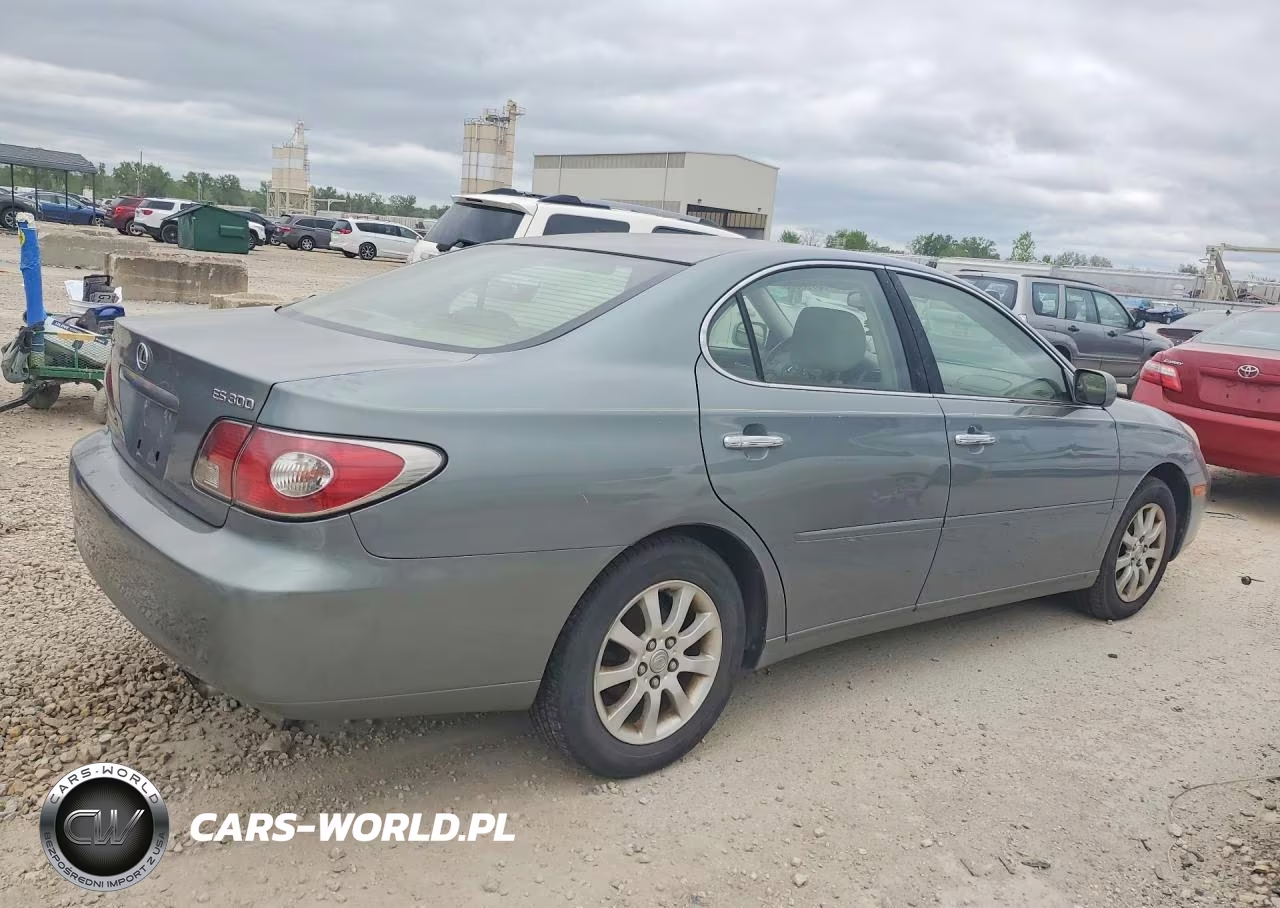 2003 Lexus Es 300 VIN:JTHBF30G730139602 - 3