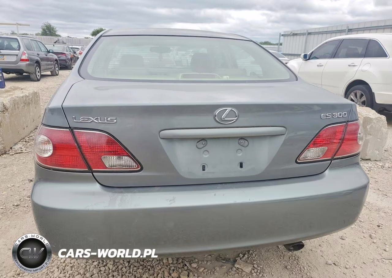 2003 Lexus Es 300 VIN:JTHBF30G730139602 - 6