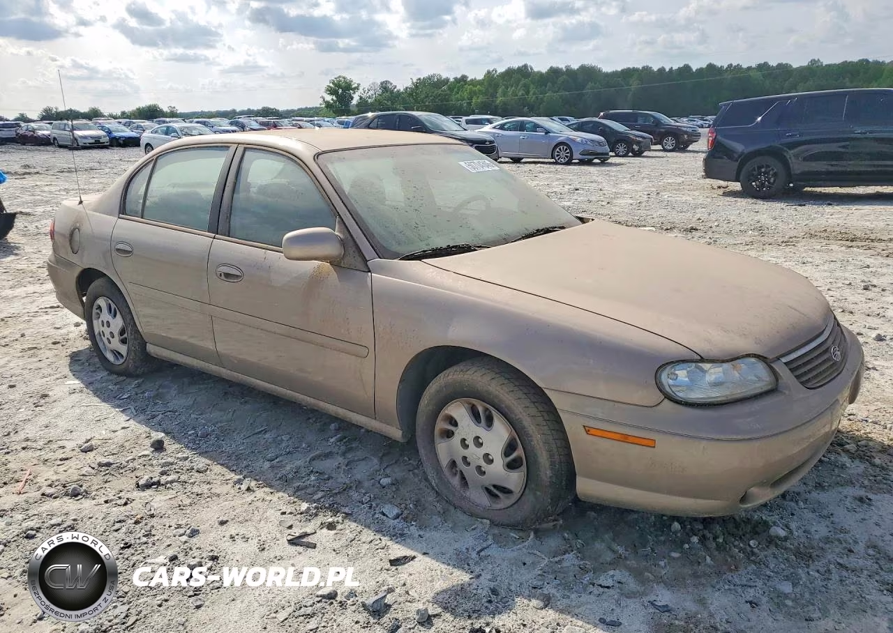 1999 Chevrolet Malibu VIN:1G1ND52T4X6263123 - 4