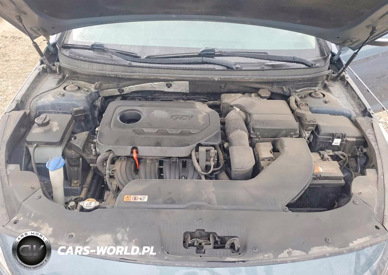 2015 Hyundai Sonata Sport VIN:5NPE34AF5FH101053 - 11