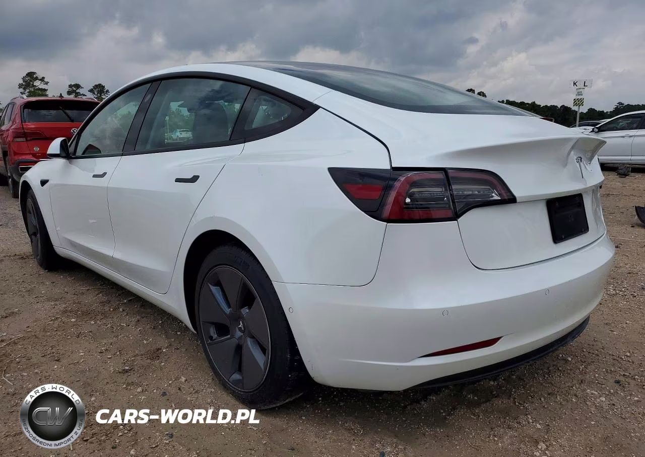 2021 Tesla Model 3 VIN:5YJ3E1EA5MF054164 - 2