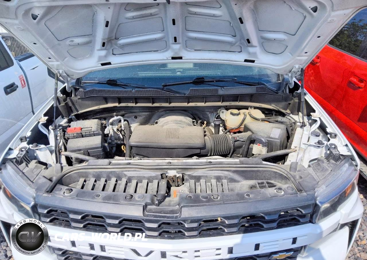 2020 Chevrolet Silverado K1500 VIN:1GCRYAEF3LZ300442 - 12