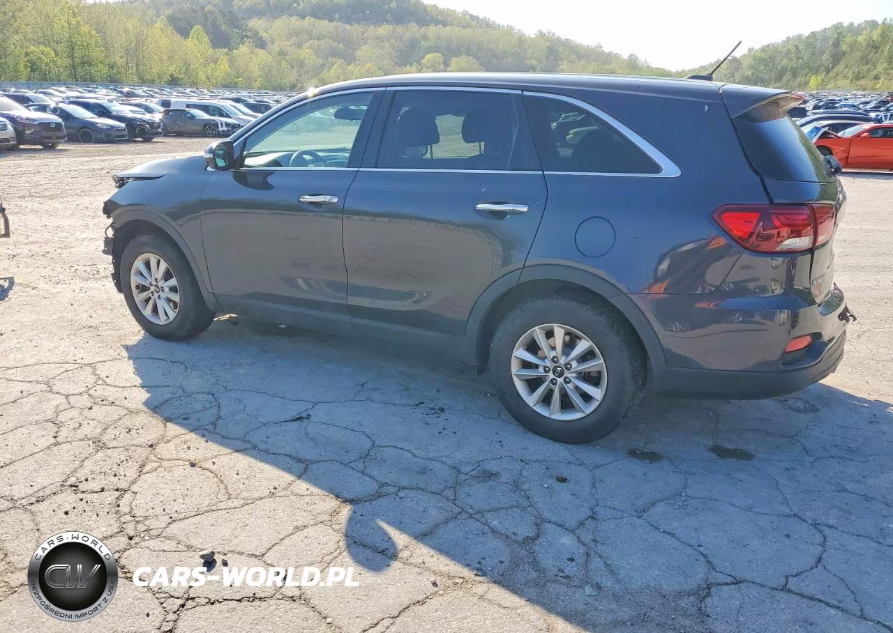 2019 Kia Sorento Lx VIN:5XYPG4A33KG435960 - 2