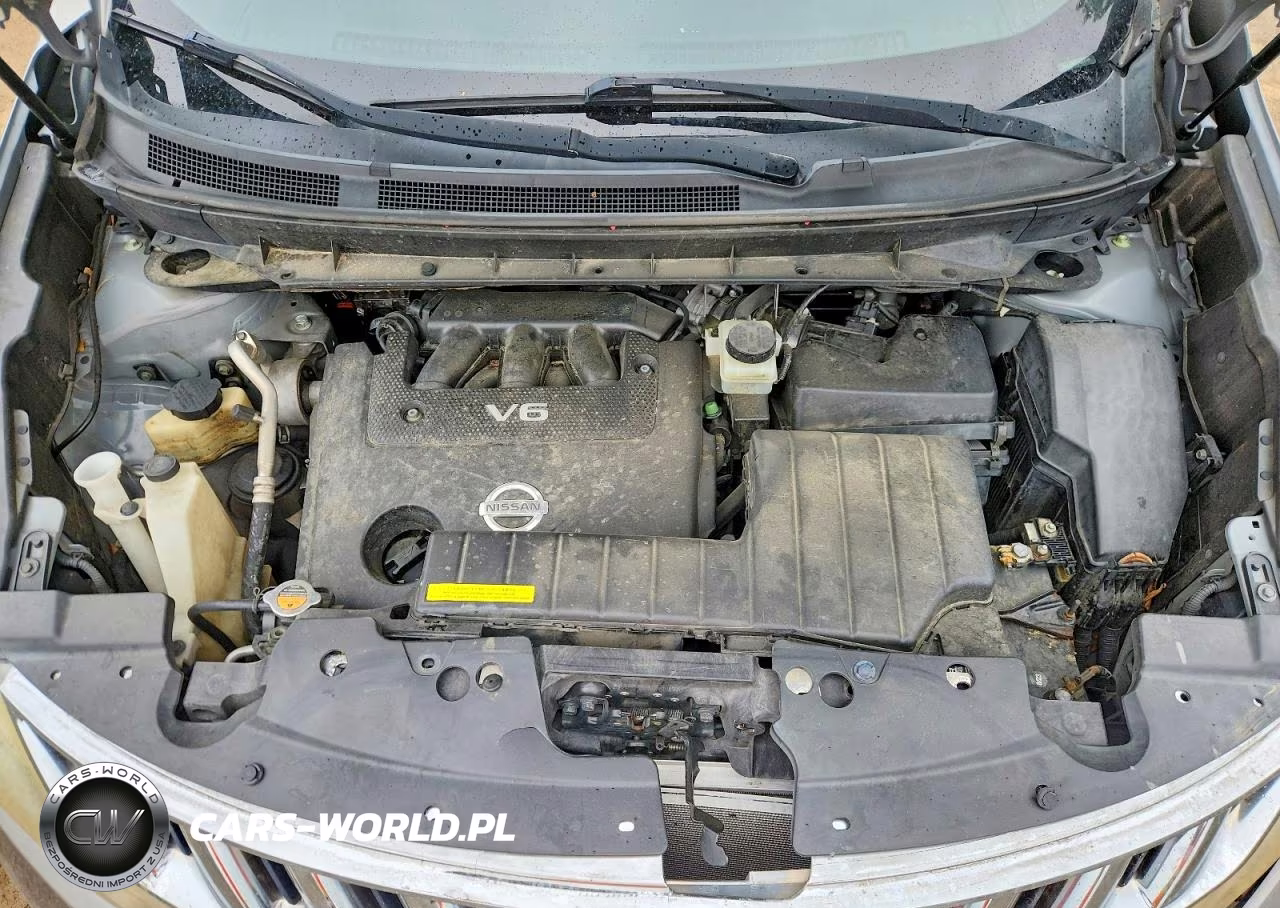 2009 Nissan Murano S VIN:JN8AZ18U19W007979 - 12