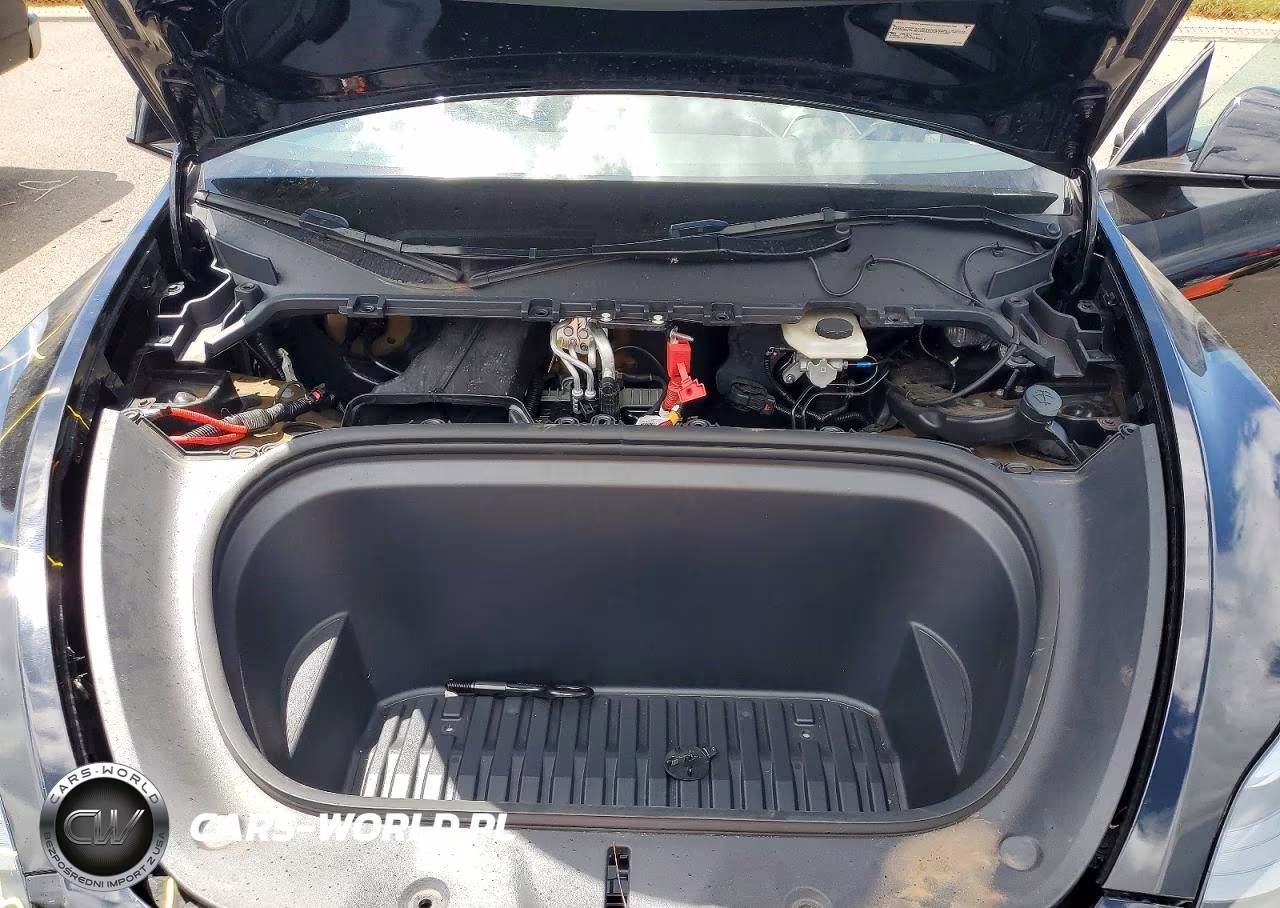 2025 Tesla Model Y VIN:7SAYGDED9SF317378 - 11