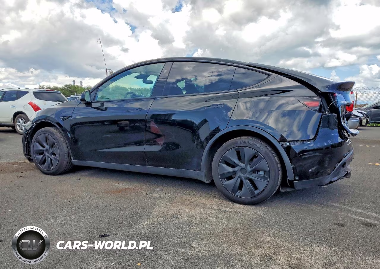 2025 Tesla Model Y VIN:7SAYGDED9SF317378 - 2