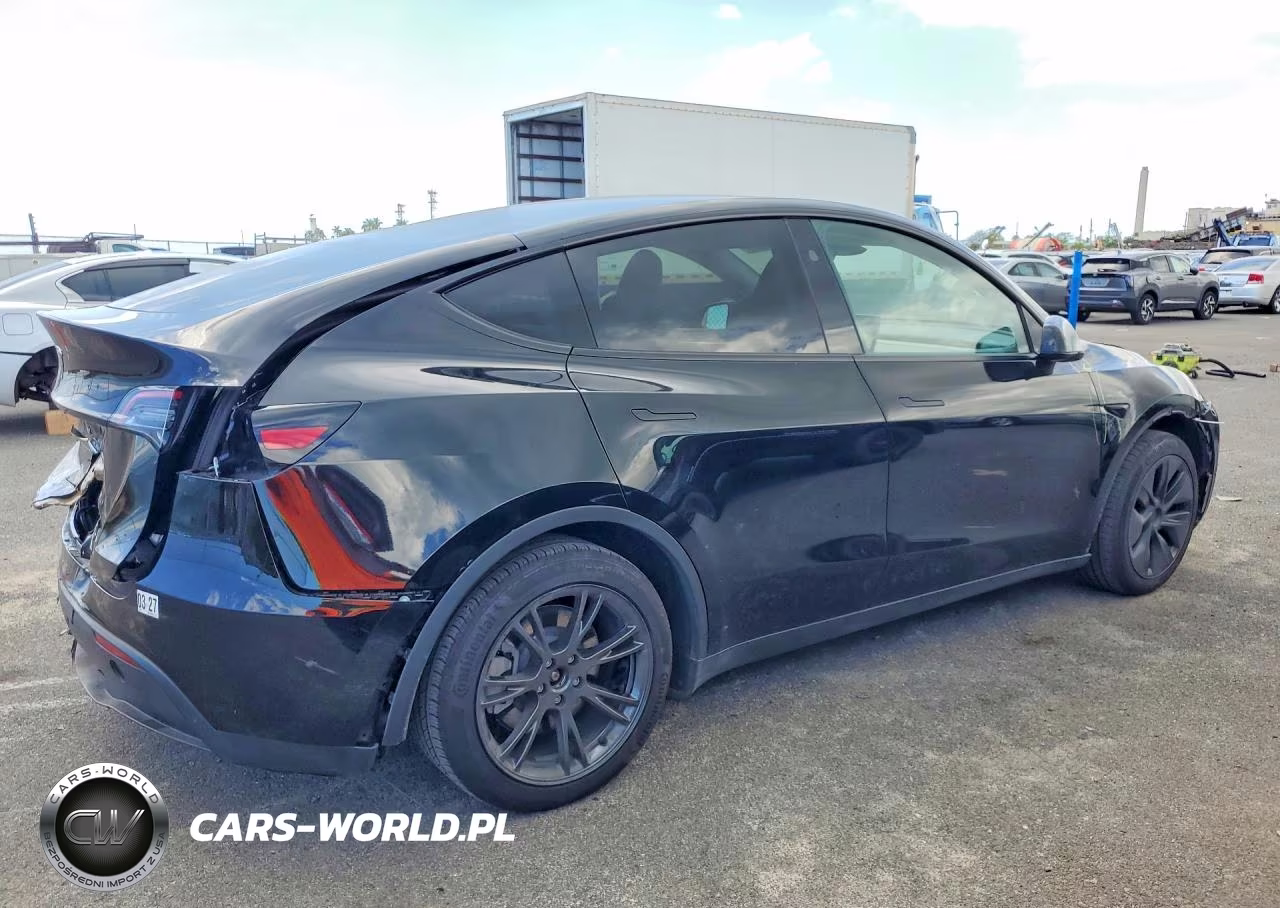 2025 Tesla Model Y VIN:7SAYGDED9SF317378 - 3
