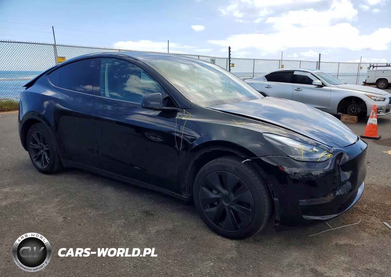 2025 Tesla Model Y VIN:7SAYGDED9SF317378 - 4