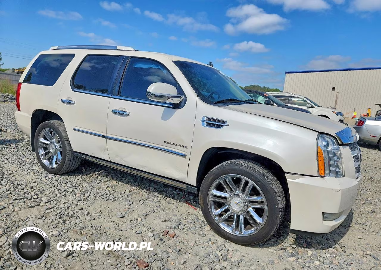 2011 Cadillac Escalade Platinum VIN:1GYS3DEF9BR395650 - 4
