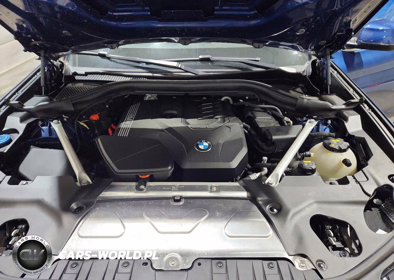 2022 BMW X3 xDrive30I VIN:WBX57DP01NN181797 - 12