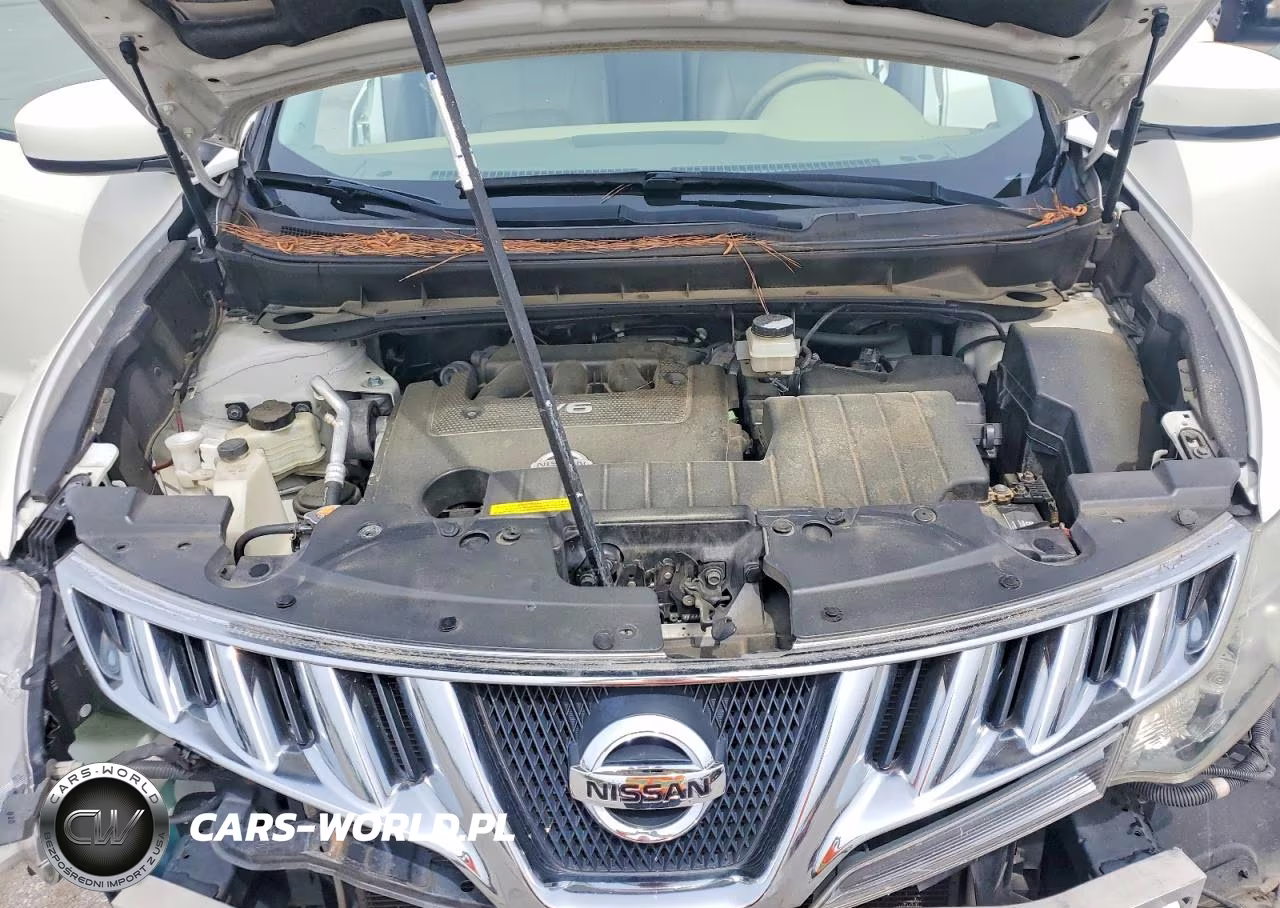 2010 Nissan Murano S VIN:JN8AZ1MU8AW009531 - 12