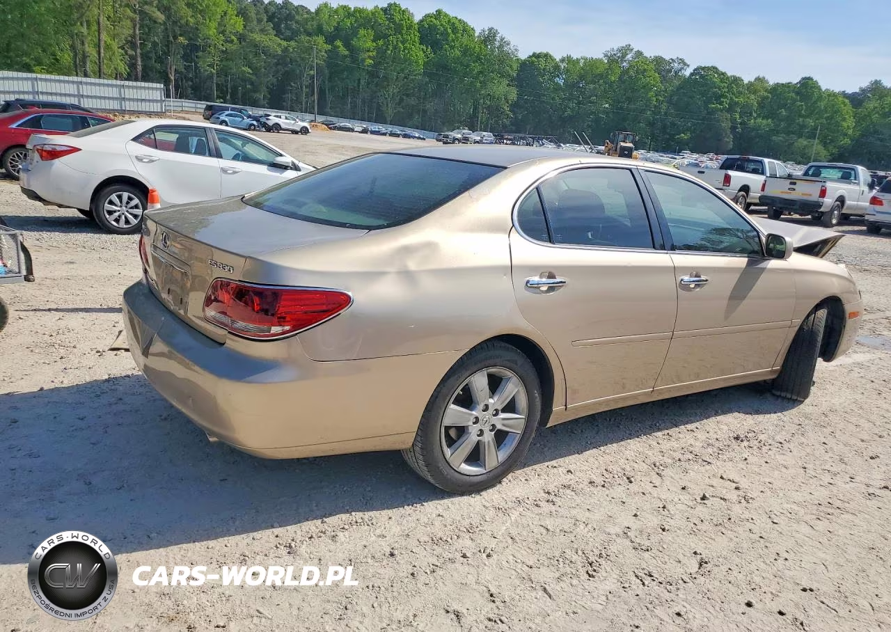 2005 Lexus Es 330 VIN:JTHBA30GX55105500 - 3