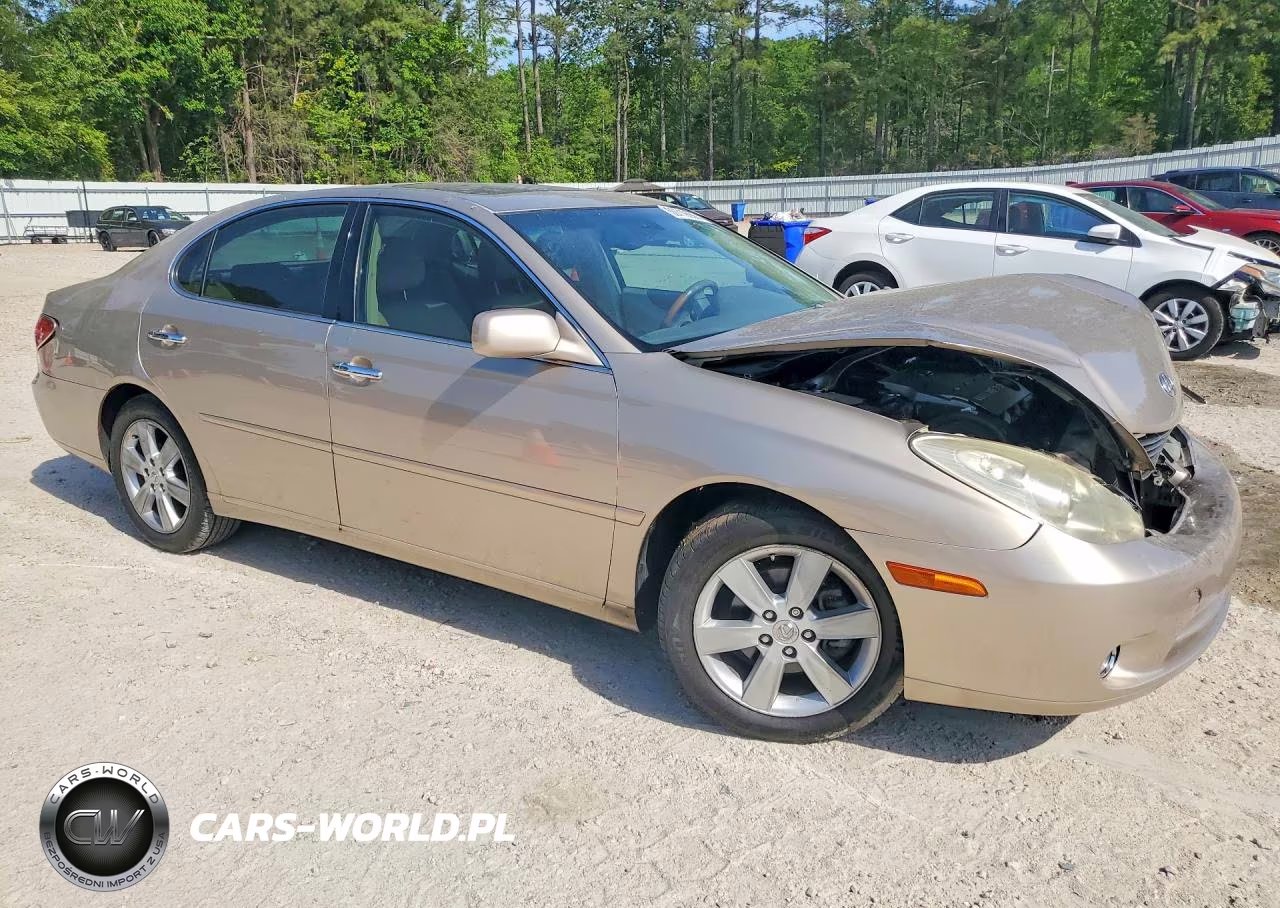2005 Lexus Es 330 VIN:JTHBA30GX55105500 - 4