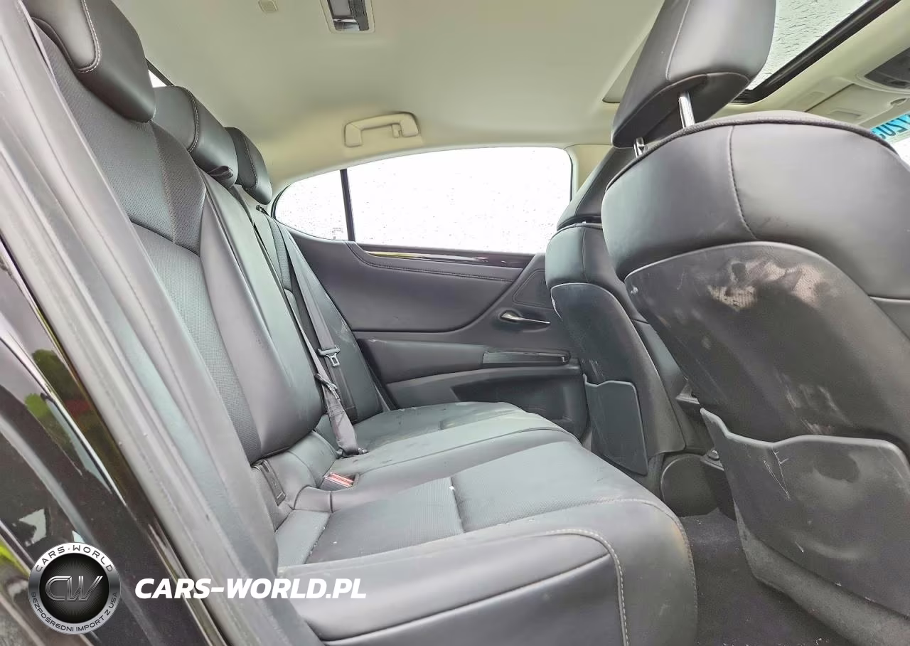 2020 Lexus Es 350 VIN:58ADZ1B19LU069385 - 10