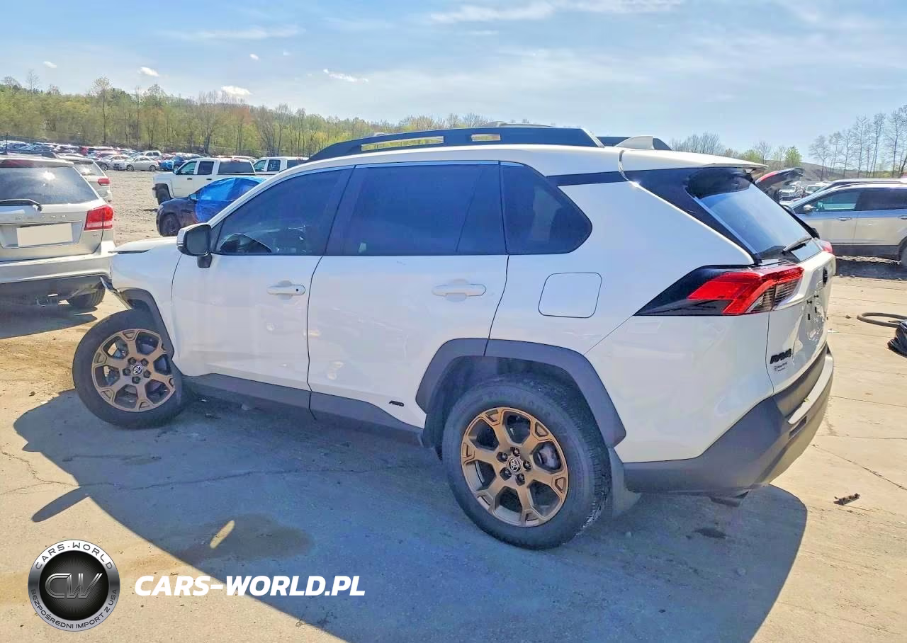 2023 Toyota Rav4 Woodland Edition VIN:2T3UWRFV4PW174523 - 2