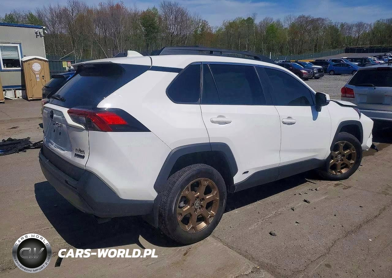 2023 Toyota Rav4 Woodland Edition VIN:2T3UWRFV4PW174523 - 3