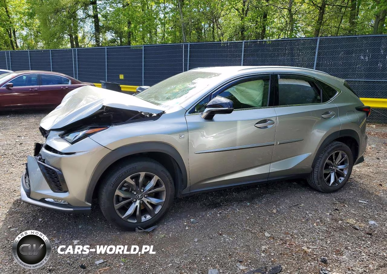 2021 Lexus Nx 300 F Sport