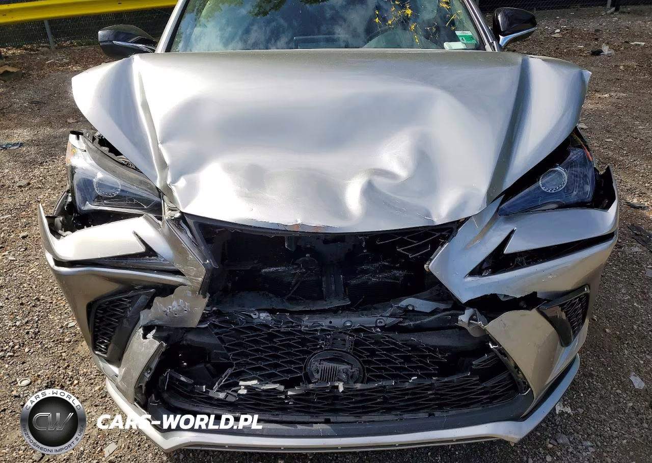 2021 Lexus Nx 300 F Sport VIN:JTJSARBZ3M2187618 - 12
