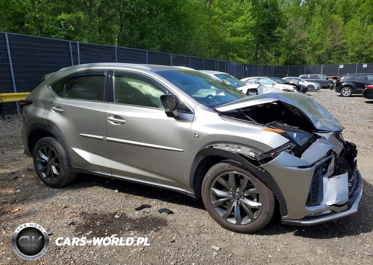 2021 Lexus Nx 300 F Sport VIN:JTJSARBZ3M2187618 - 4