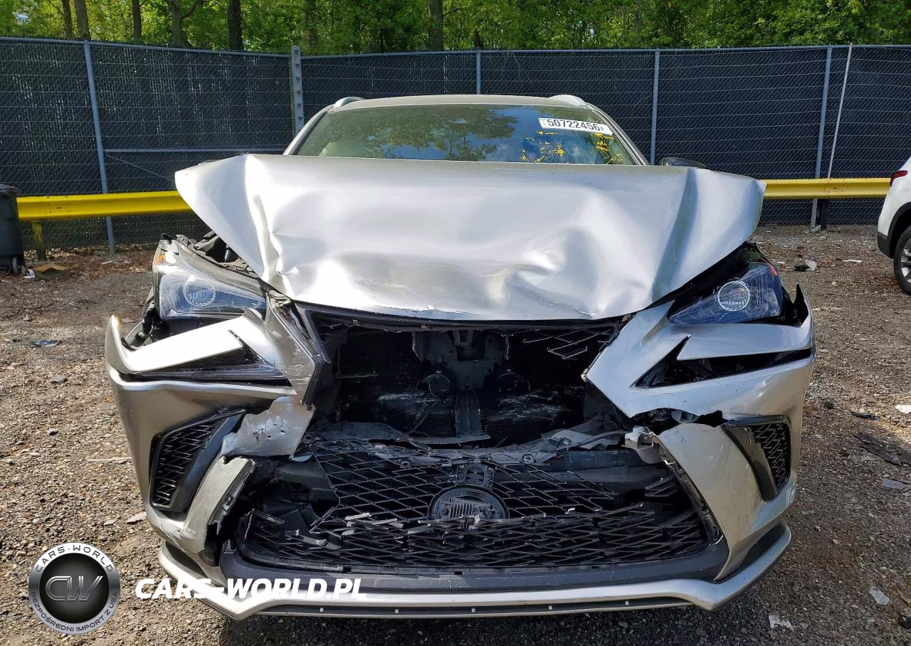 2021 Lexus Nx 300 F Sport VIN:JTJSARBZ3M2187618 - 5