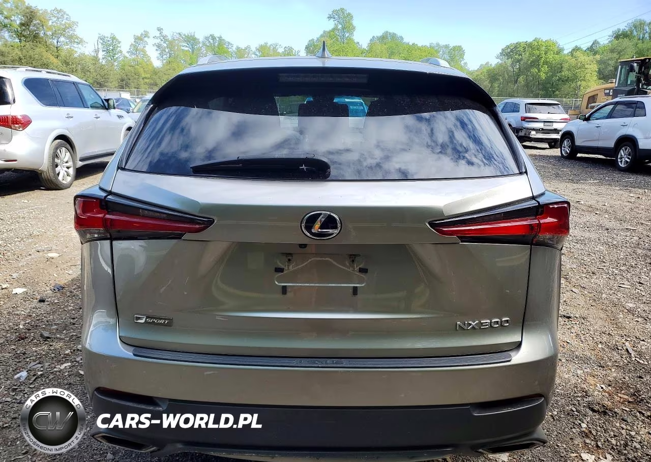 2021 Lexus Nx 300 F Sport VIN:JTJSARBZ3M2187618 - 6