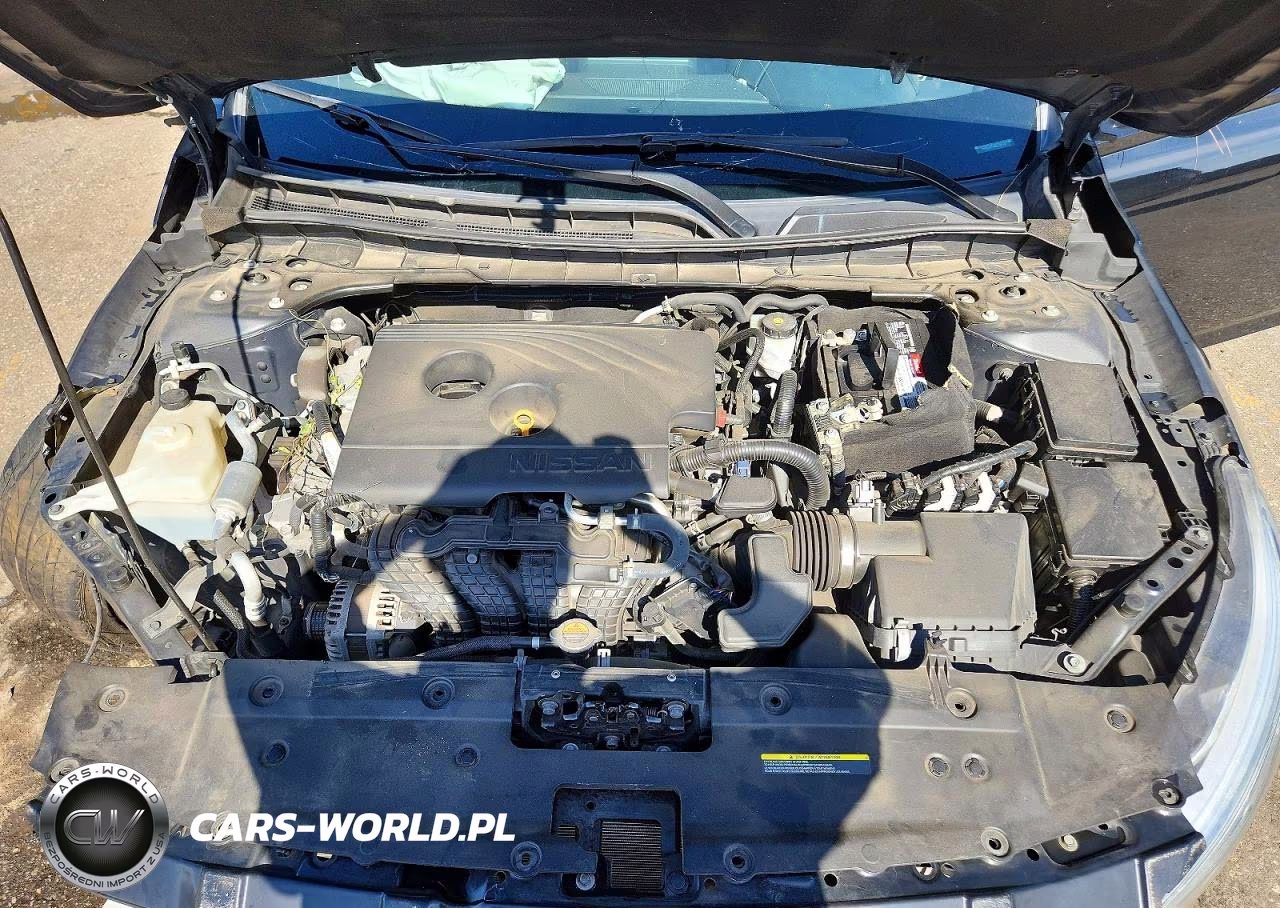 2019 Nissan Altima Platinum VIN:1N4BL4FV4KC107148 - 11