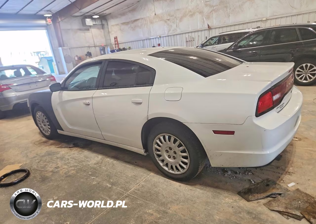 2014 Dodge Charger Police VIN:2C3CDXKT9EH351384 - 2