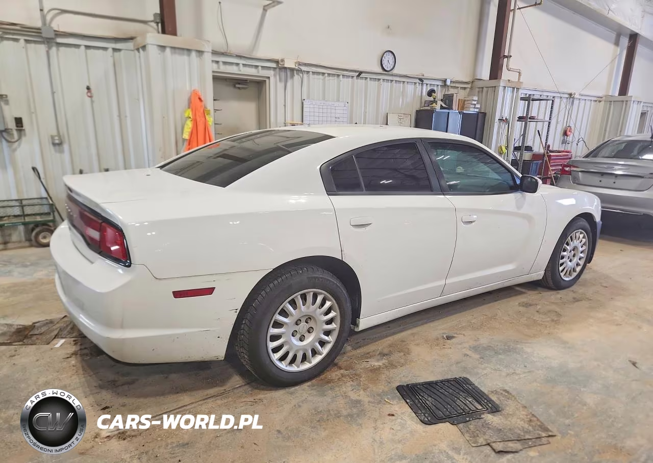 2014 Dodge Charger Police VIN:2C3CDXKT9EH351384 - 3