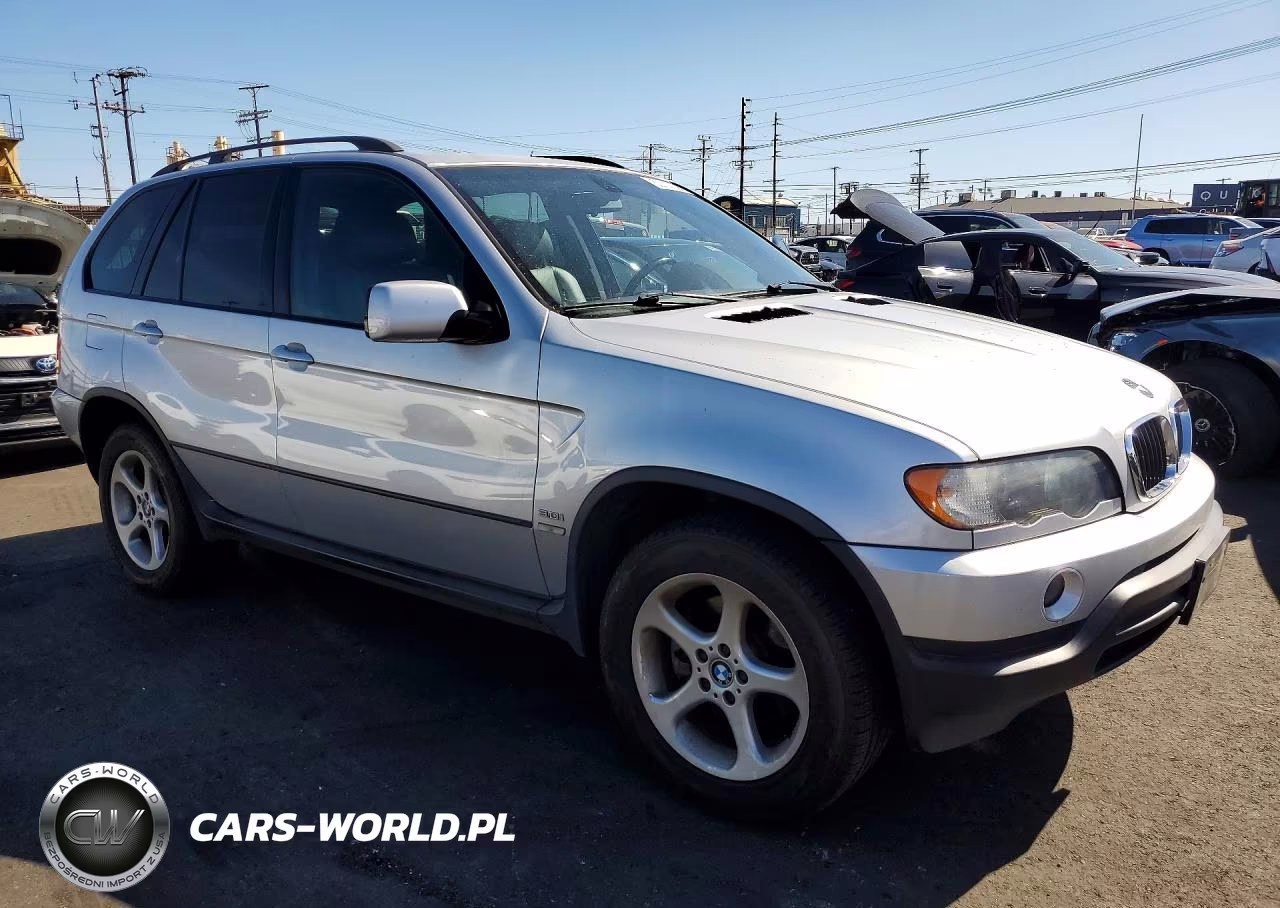 2002 BMW X5 3.0I VIN:5UXFA535X2LP38884 - 4