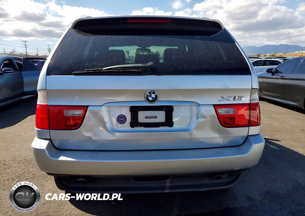 2002 BMW X5 3.0I VIN:5UXFA535X2LP38884 - 6