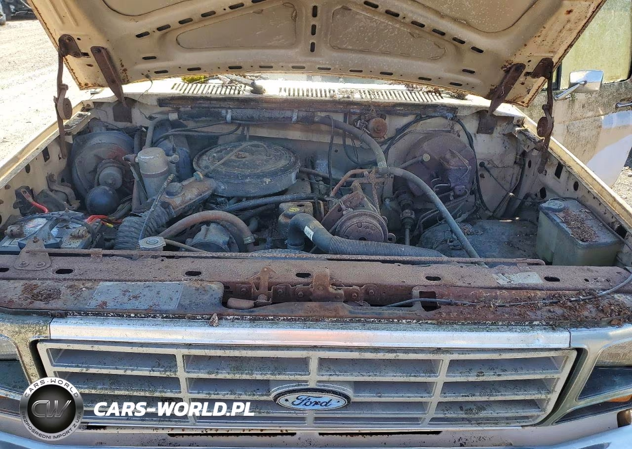 1985 Ford F150 VIN:1FTDF15Y4FNA40999 - 11