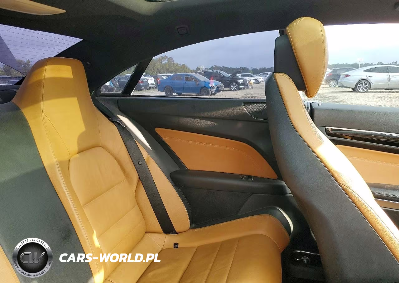 2017 Mercedes-Benz E 400 VIN:WDDKJ6FB1HF355114 - 10