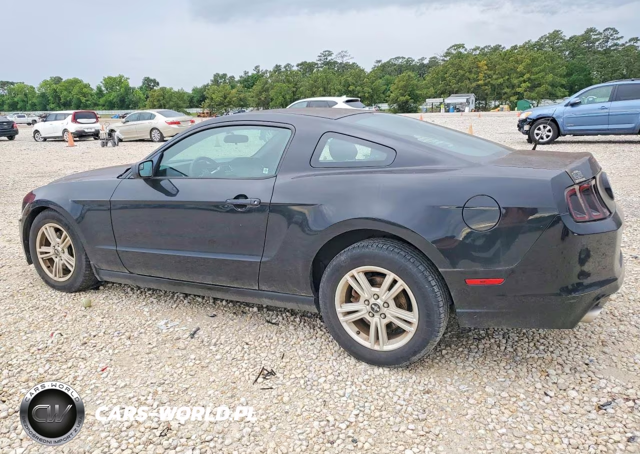 2014 Ford Mustang VIN:1ZVBP8AM2E5268432 - 2