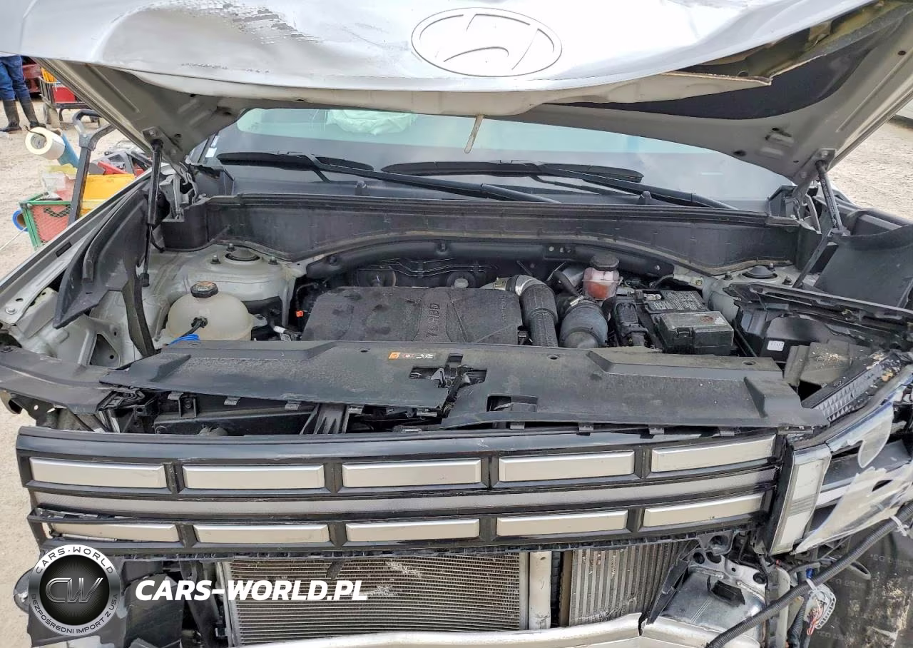 2024 Hyundai Santa Fe Sel VIN:5NMP24GL3RH026394 - 12