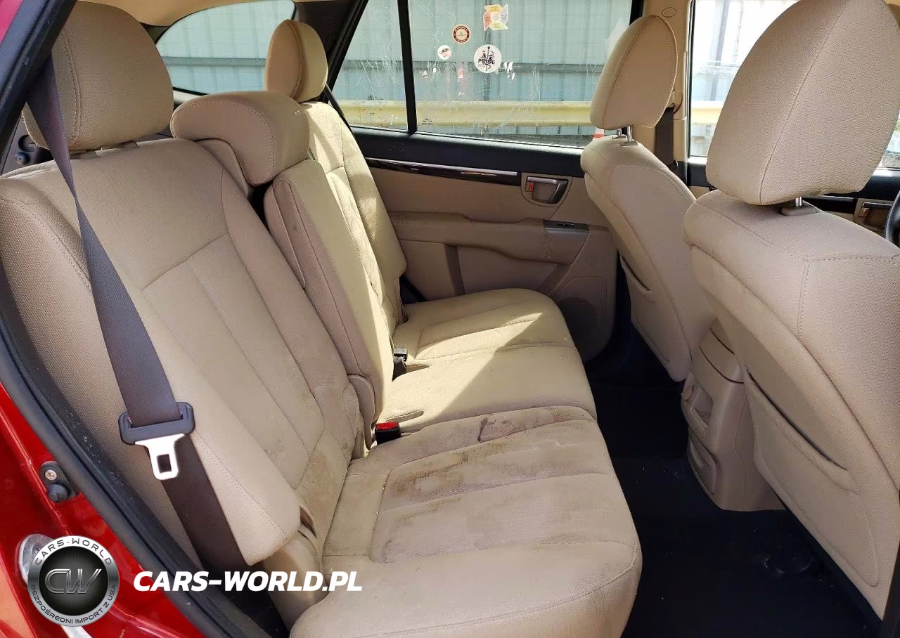 2010 Hyundai Santa Fe Gls VIN:5NMSGDAB1AH333319 - 11