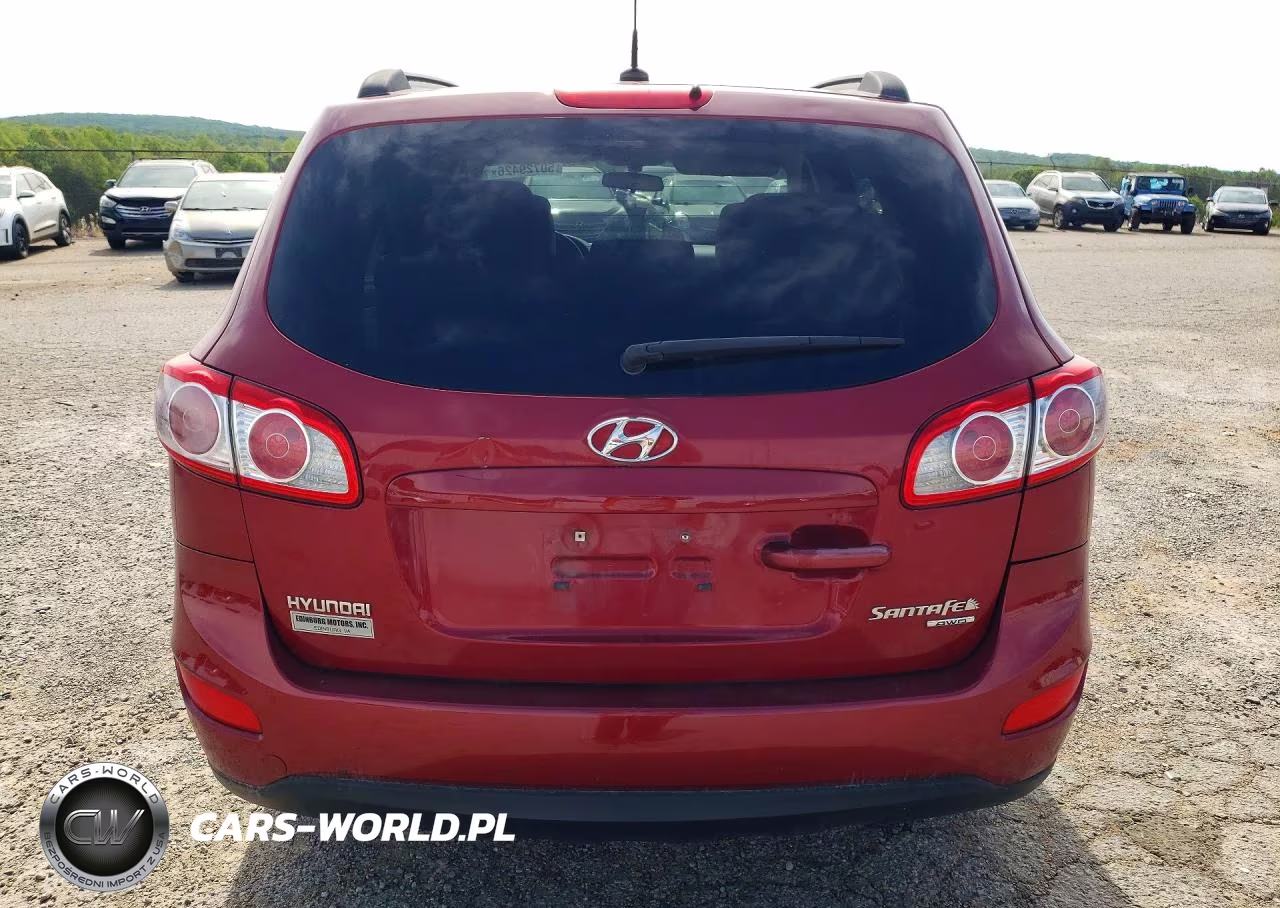 2010 Hyundai Santa Fe Gls VIN:5NMSGDAB1AH333319 - 6