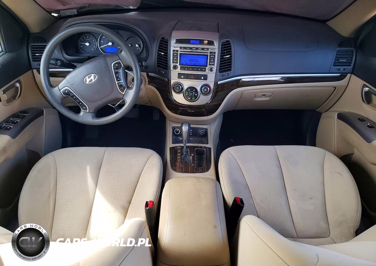 2010 Hyundai Santa Fe Gls VIN:5NMSGDAB1AH333319 - 8