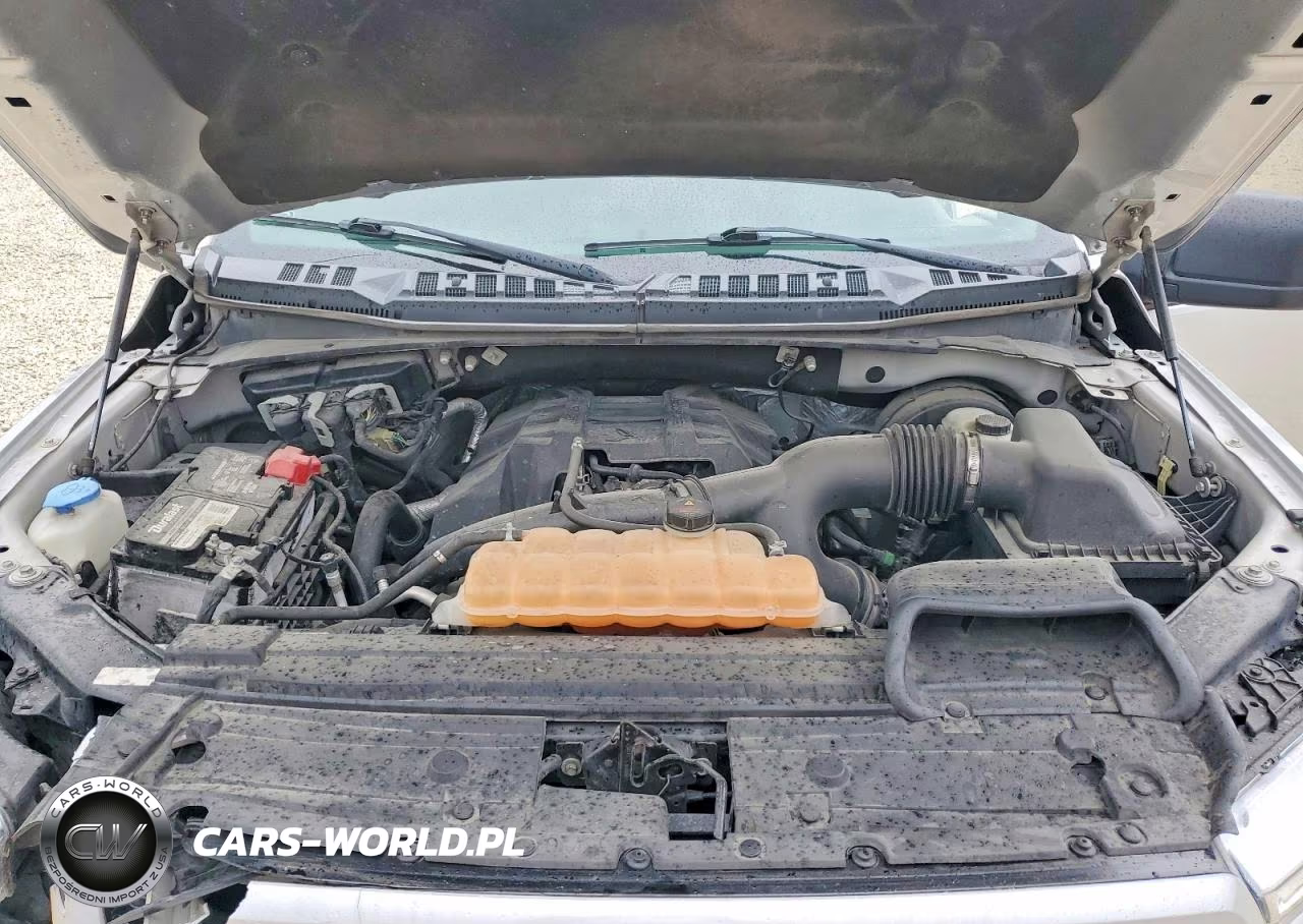 2018 Ford F150 Supercrew VIN:1FTEW1CP5JKC49273 - 11
