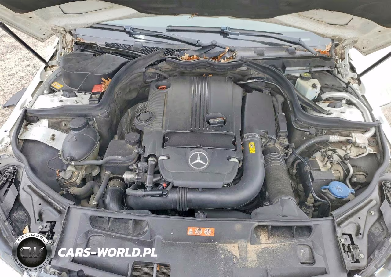 2013 Mercedes-Benz C 250 VIN:WDDGF4HB7DR252264 - 11