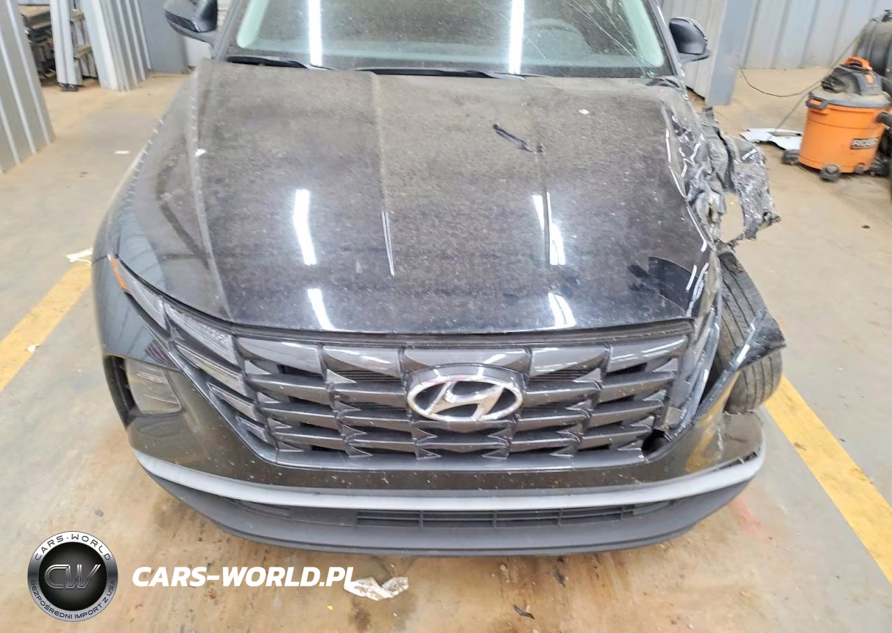 2024 Hyundai Tucson Sel VIN:5NMJBCDE5RH342014 - 11
