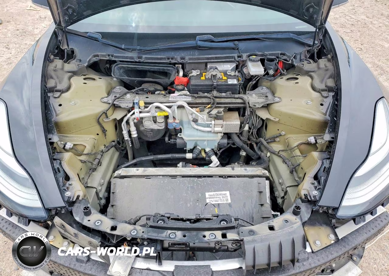 2019 Tesla Model 3 VIN:5YJ3E1EA9KF397718 - 11