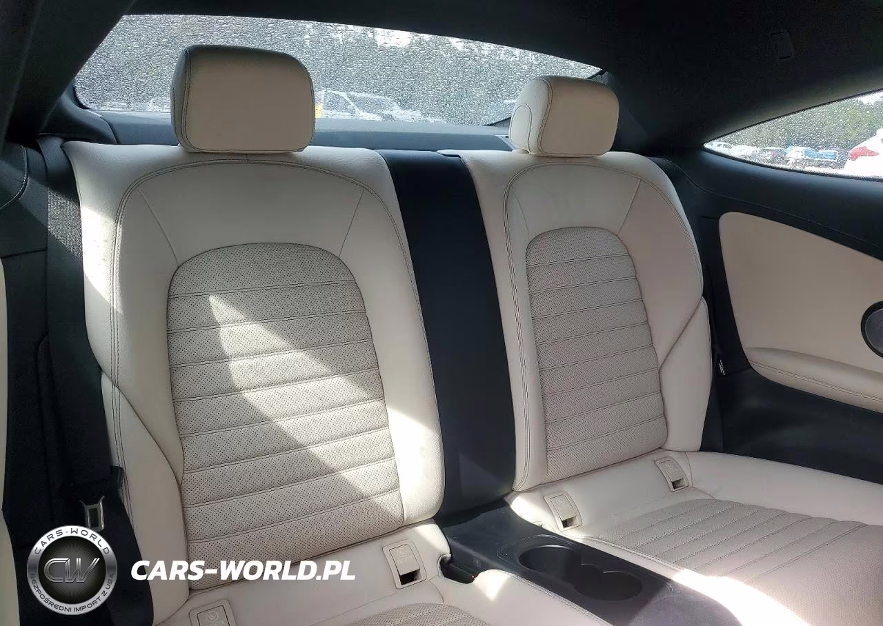 2019 Mercedes-Benz C 43 Amg VIN:WDDWJ6EB3KF836220 - 10