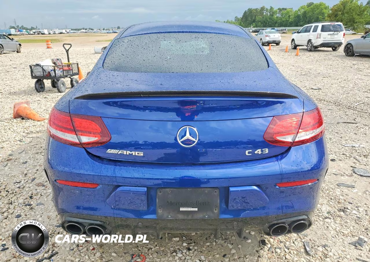 2019 Mercedes-Benz C 43 Amg VIN:WDDWJ6EB3KF836220 - 6