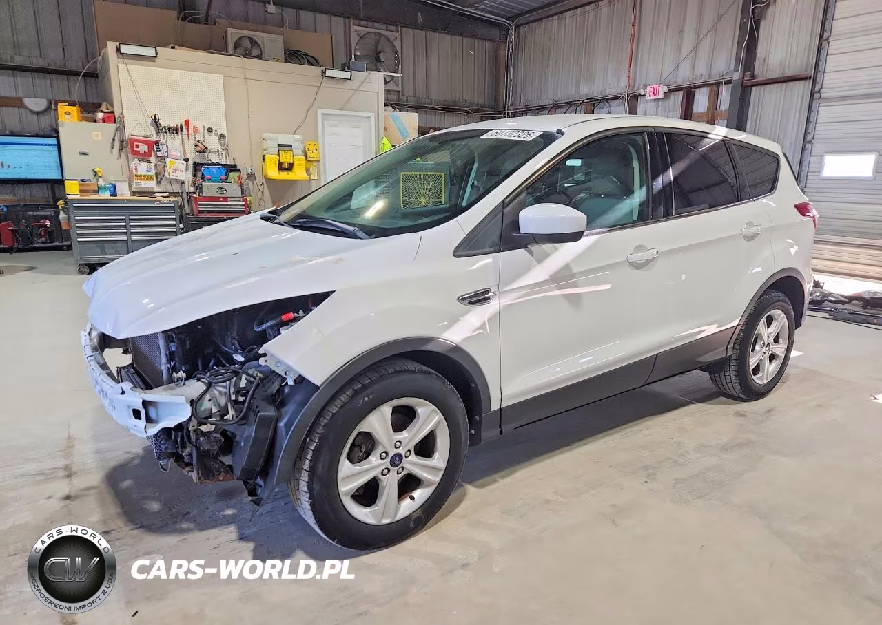 2013 Ford Escape Se